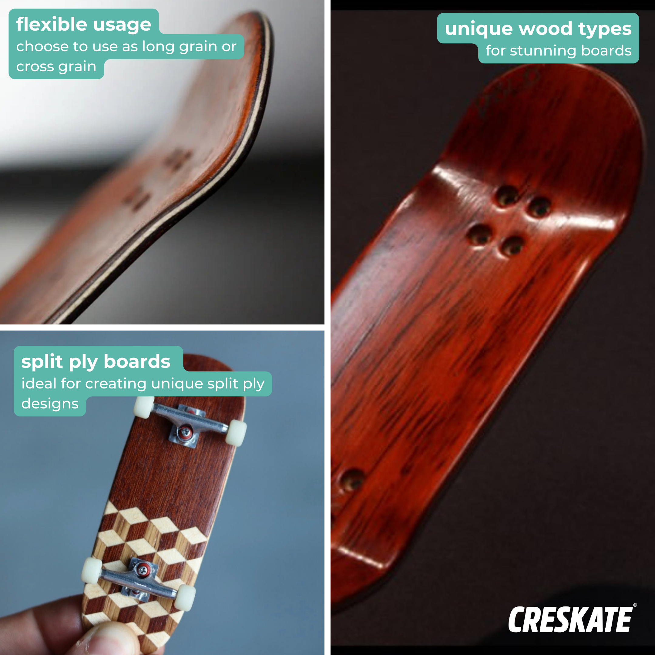 BlackWeek Expert Bundle